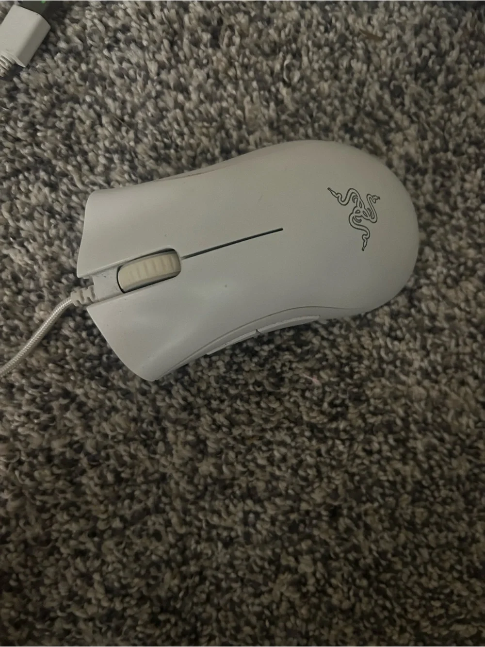 Razer minimalist home yellow